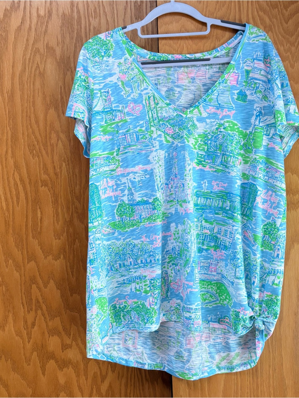 Lilly Pulitzer Pastel Scenic V-Neck Short Sleeve Tee in Blue, Green & Pink.